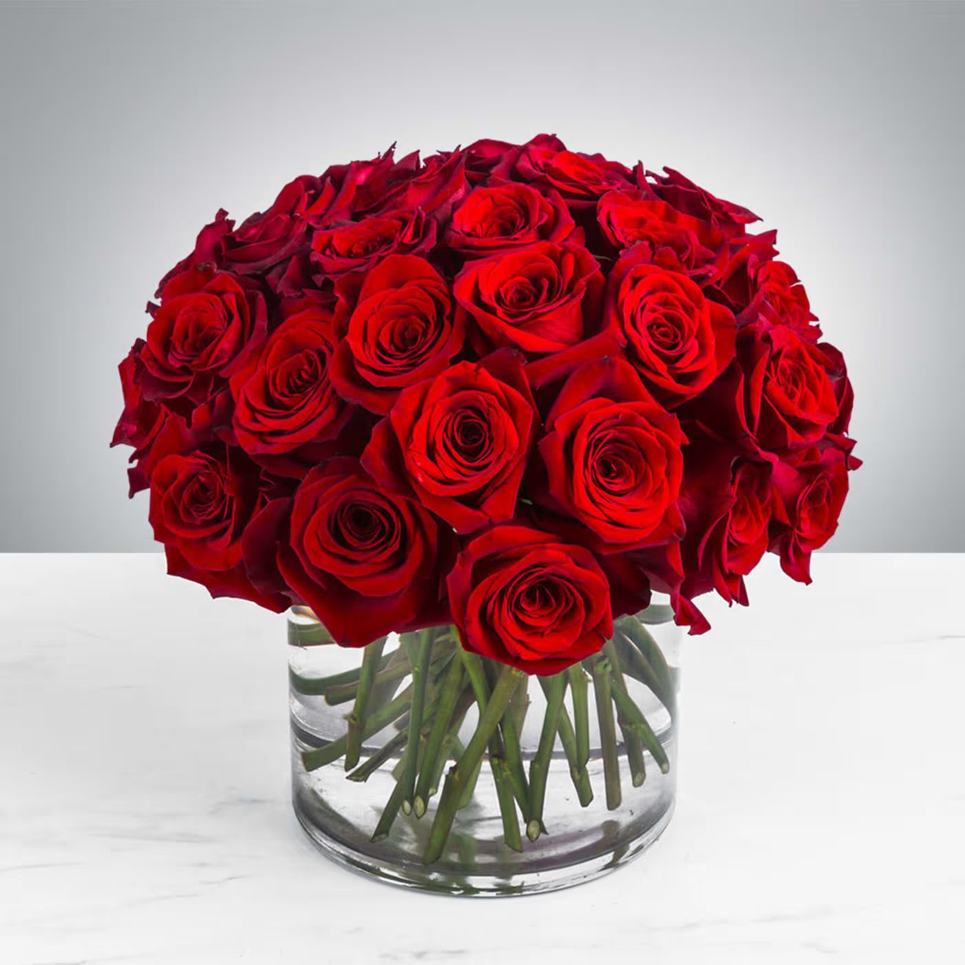 Luxury Roses