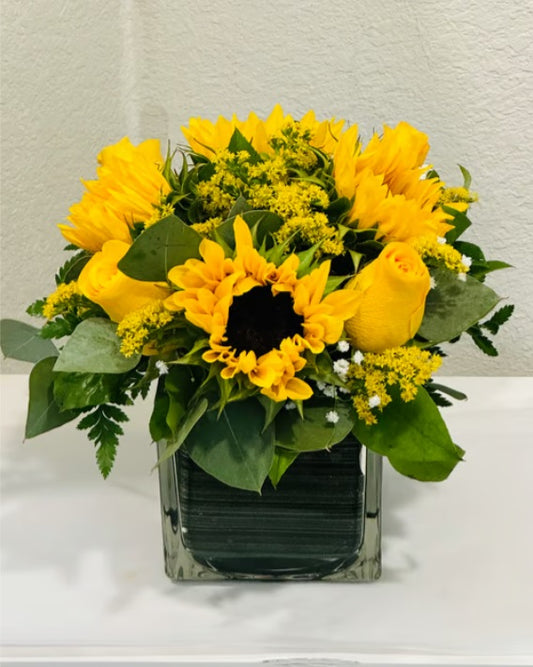 A Beacon of Sunshine