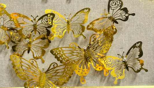 Butterflies